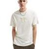 Calvin Klein Jeans Embroidery Patch T-shirt In Stone For Men Icicle