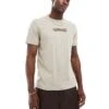 Calvin Klein Embroidered Logo T-shirt In Beige For Men Fresh Clay